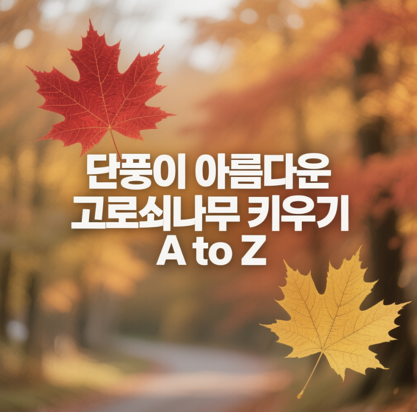 단풍이 아름다운 고로쇠나무 키우기 A to Z