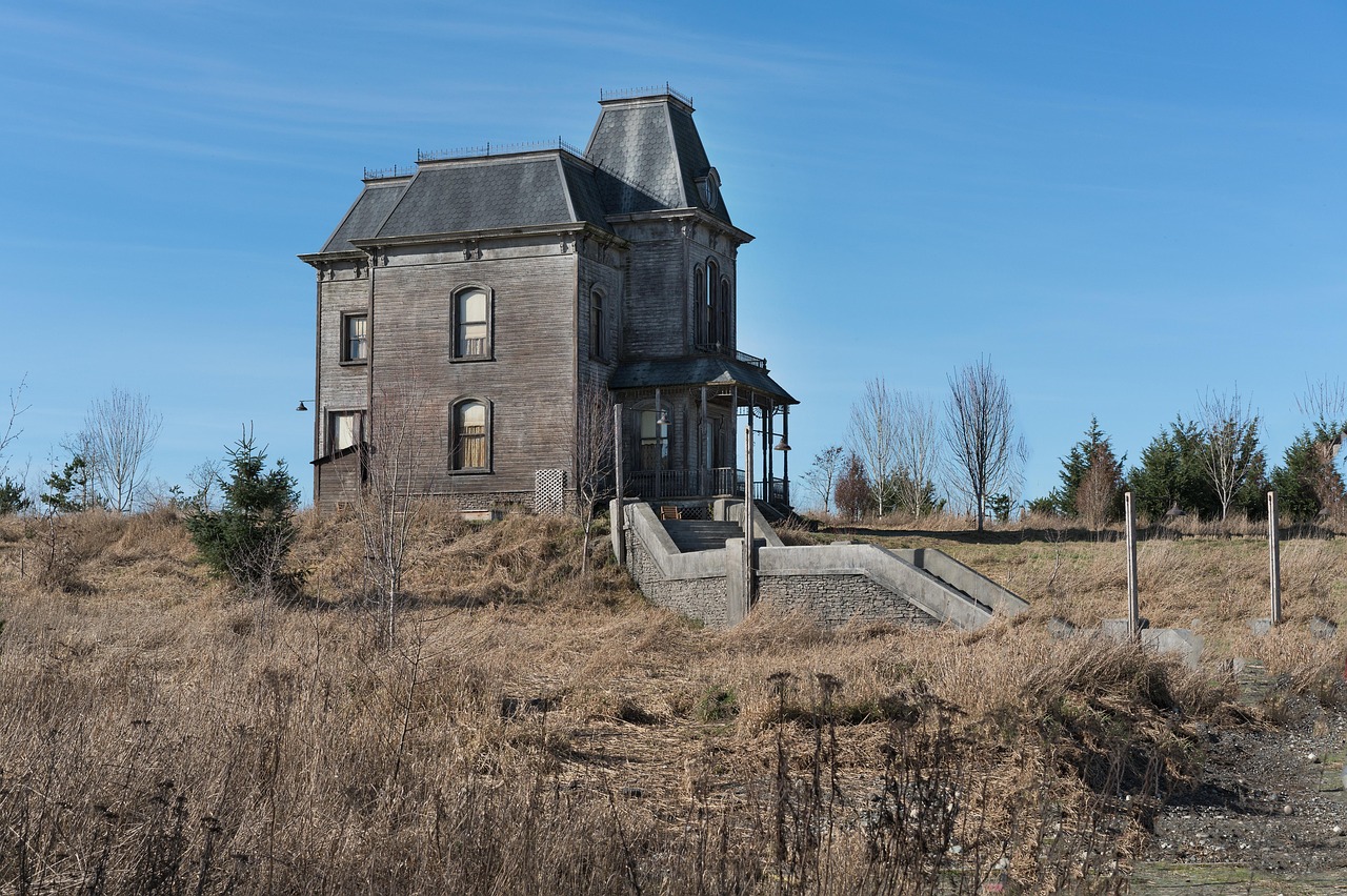 한국 드라마 사이코지만 괜찮아 관련 사진