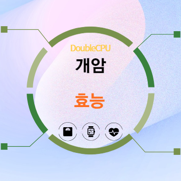 개암 효능 5가지 탐구