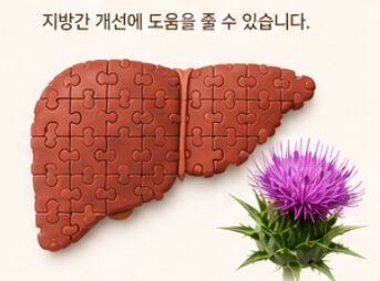 밀크씨슬 효과와 복용법