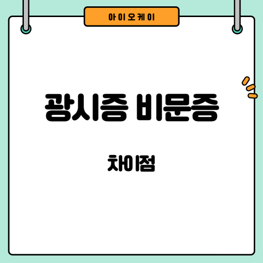 광시증-비문증-차이