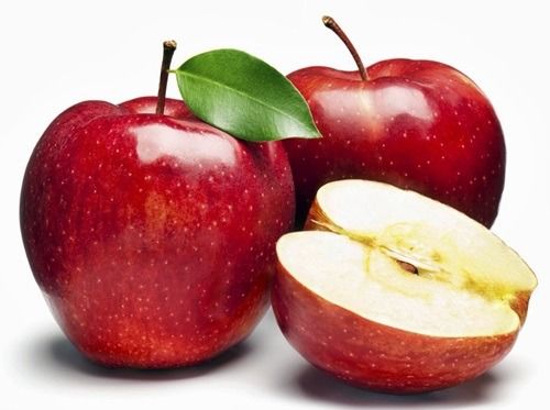 설사에 좋은 음식