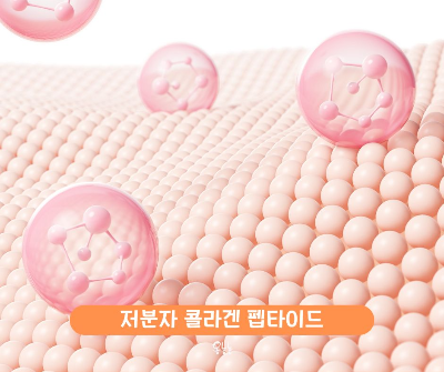 저분자 콜라겐 펩타이드