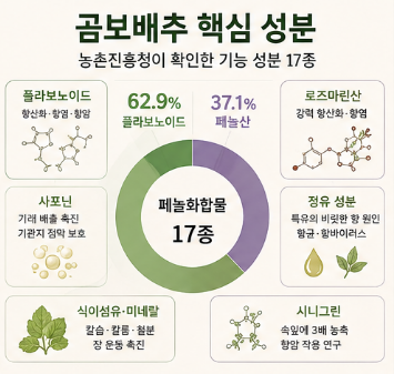곰보배추-효능-먹는법-시럽-유기농-진액-즙