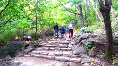 청계산-등산코스-옥녀봉