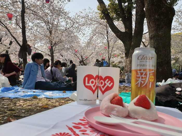 나고야 공원에서 벚꽃과 함께 피크닉을 하는 사진