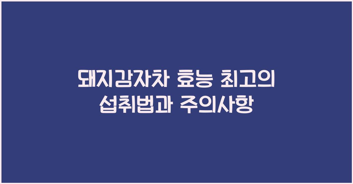 돼지감자차 효능