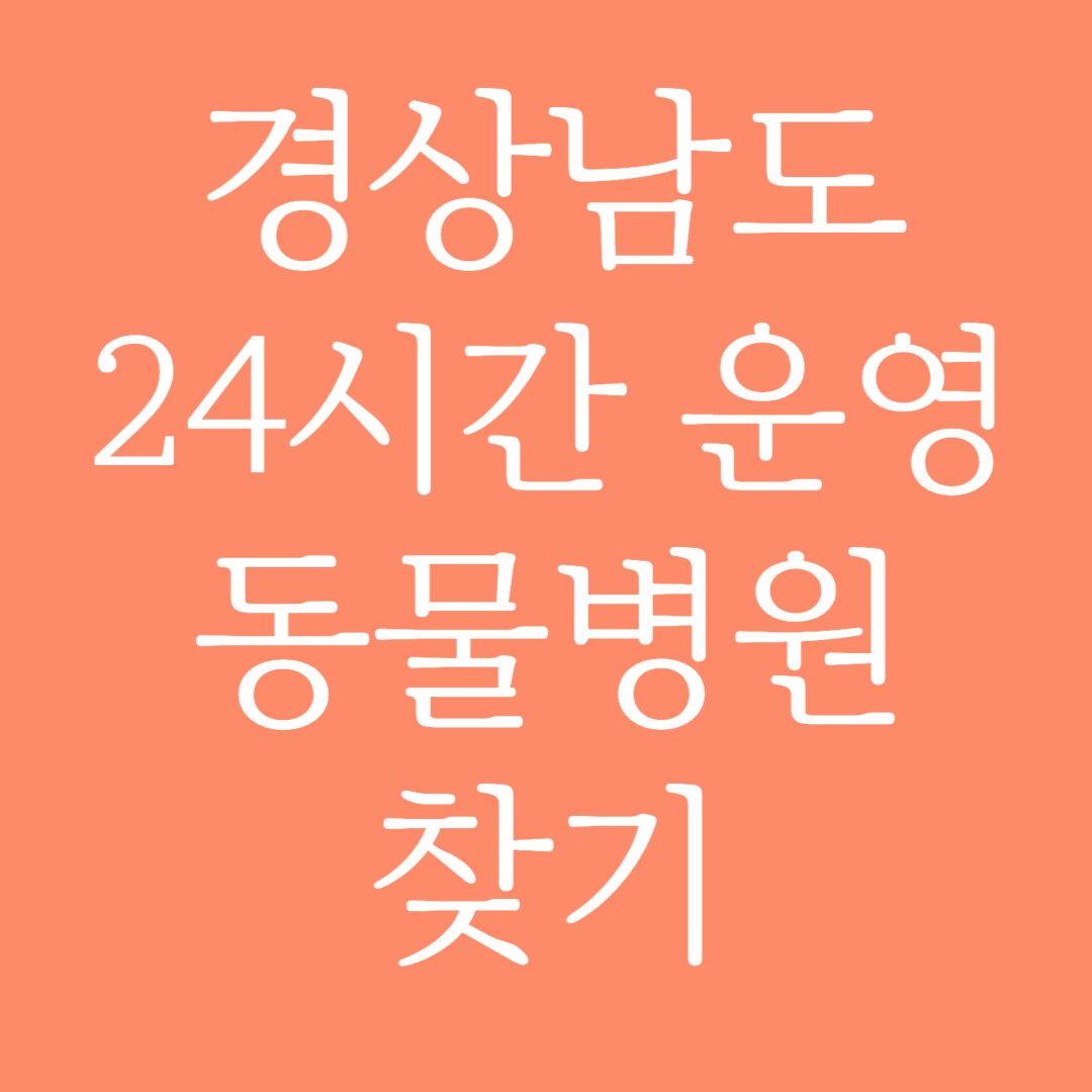 경상남도 24시간 운영 동물병원 찾기