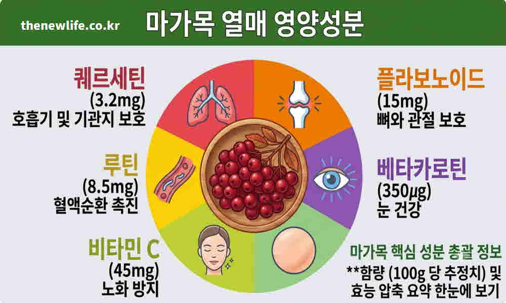 마가목열매 효능 영양성분