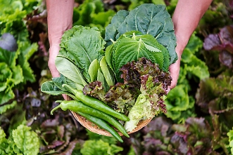 암을 이기는 생활습관