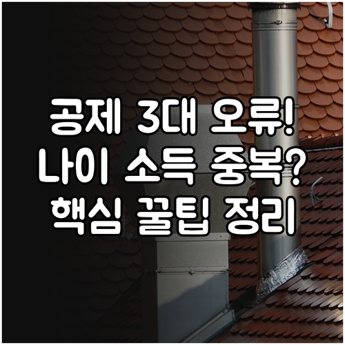 인적공제 오류 3가지 나이 소득 중복..