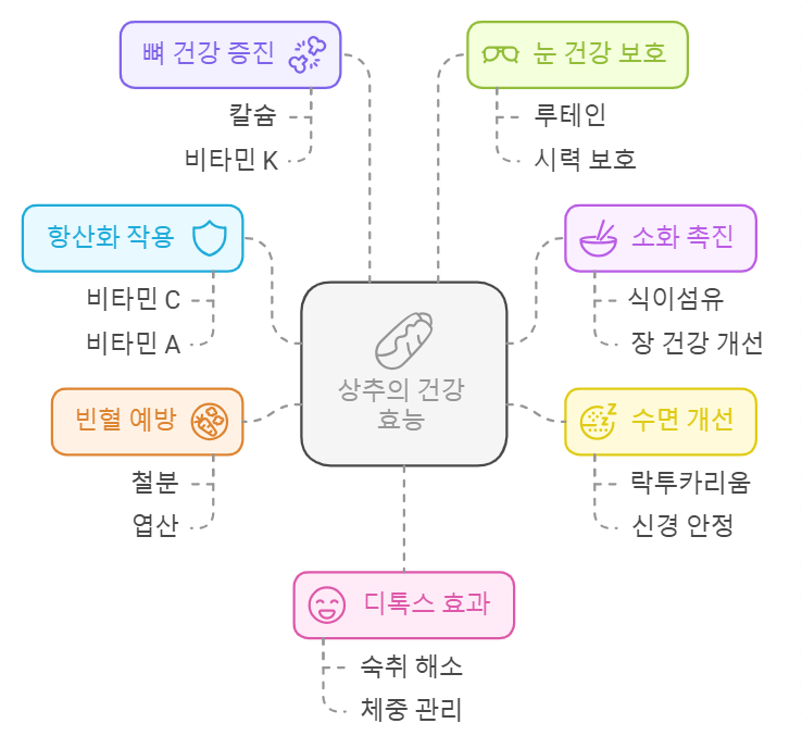 상추 효능
