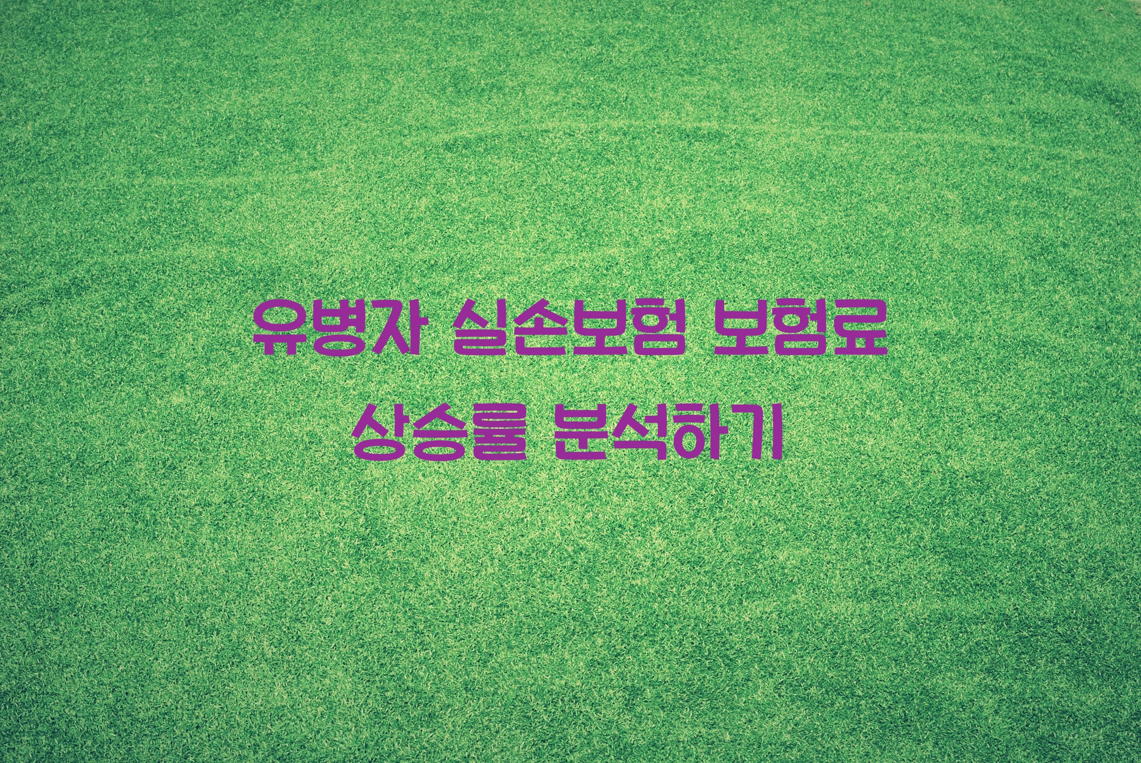 유병자 실손보험 보험료 상승률