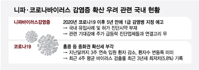 머니투데이