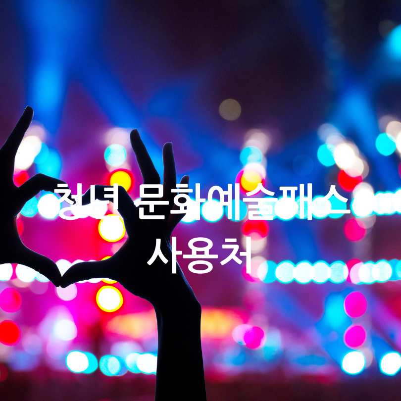 청년 문화예술패스