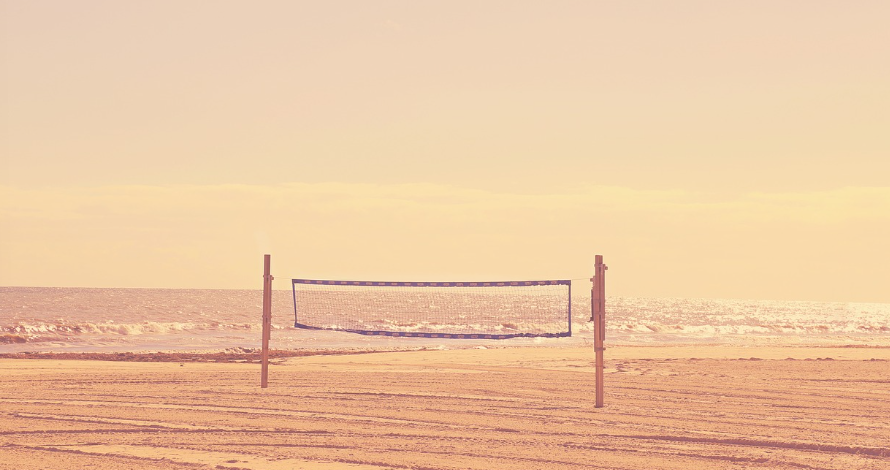 배구 관련 영화 및 도서 소개