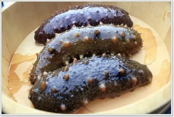 해삼 손질법 해삼보관법 제철 탕 레시피_9