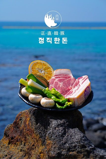 제주도 애월 맛집 현지인 추천 Best 10 제주달 애월해안도로본점 이춘옥원조고등어쌈밥 제주애월본점 제주 정직한돈 고이정 애월흑돼지 보리짚불구이 동경밥상 장인의집[본점] 갈치바다 애월 해물통라면 문개항아리 애월해안도로점 한라소곱창 애월 온기