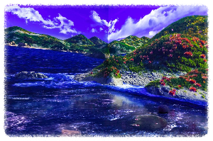 녹테마레 미디어아트