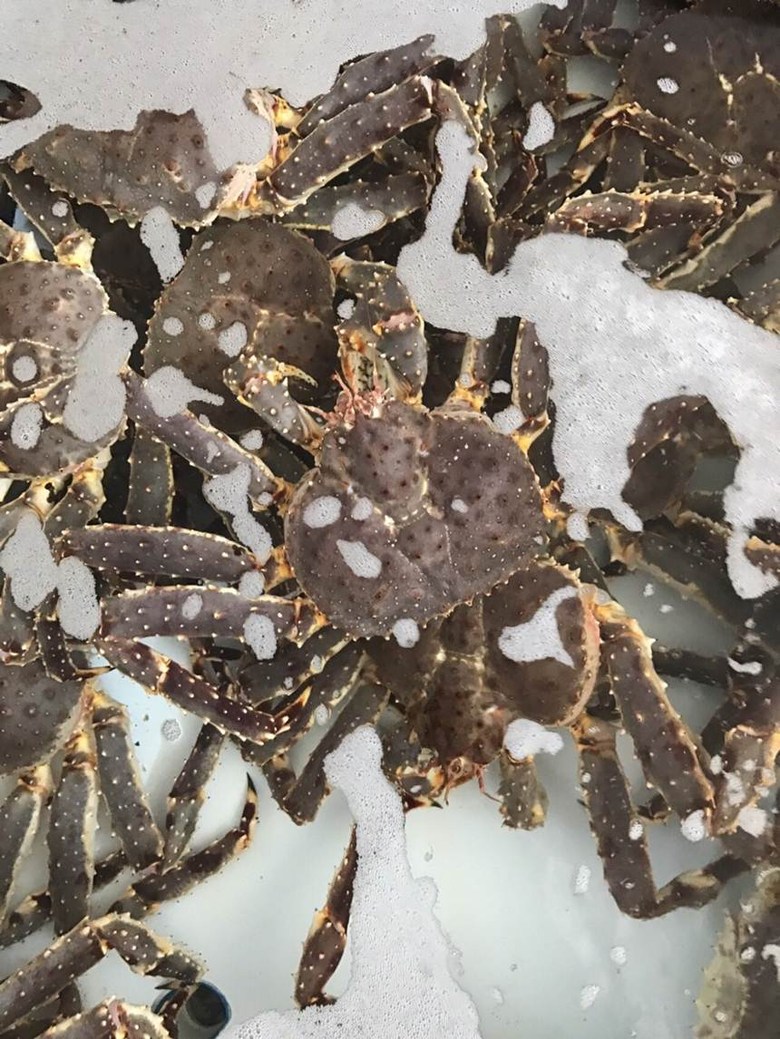 킹크랩 싸게 파는 곳