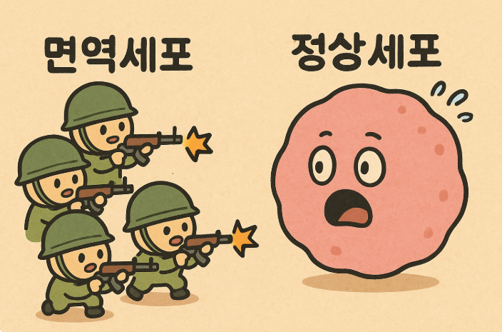 면역세포와 정상세포의 귀여운 일러스트 사진