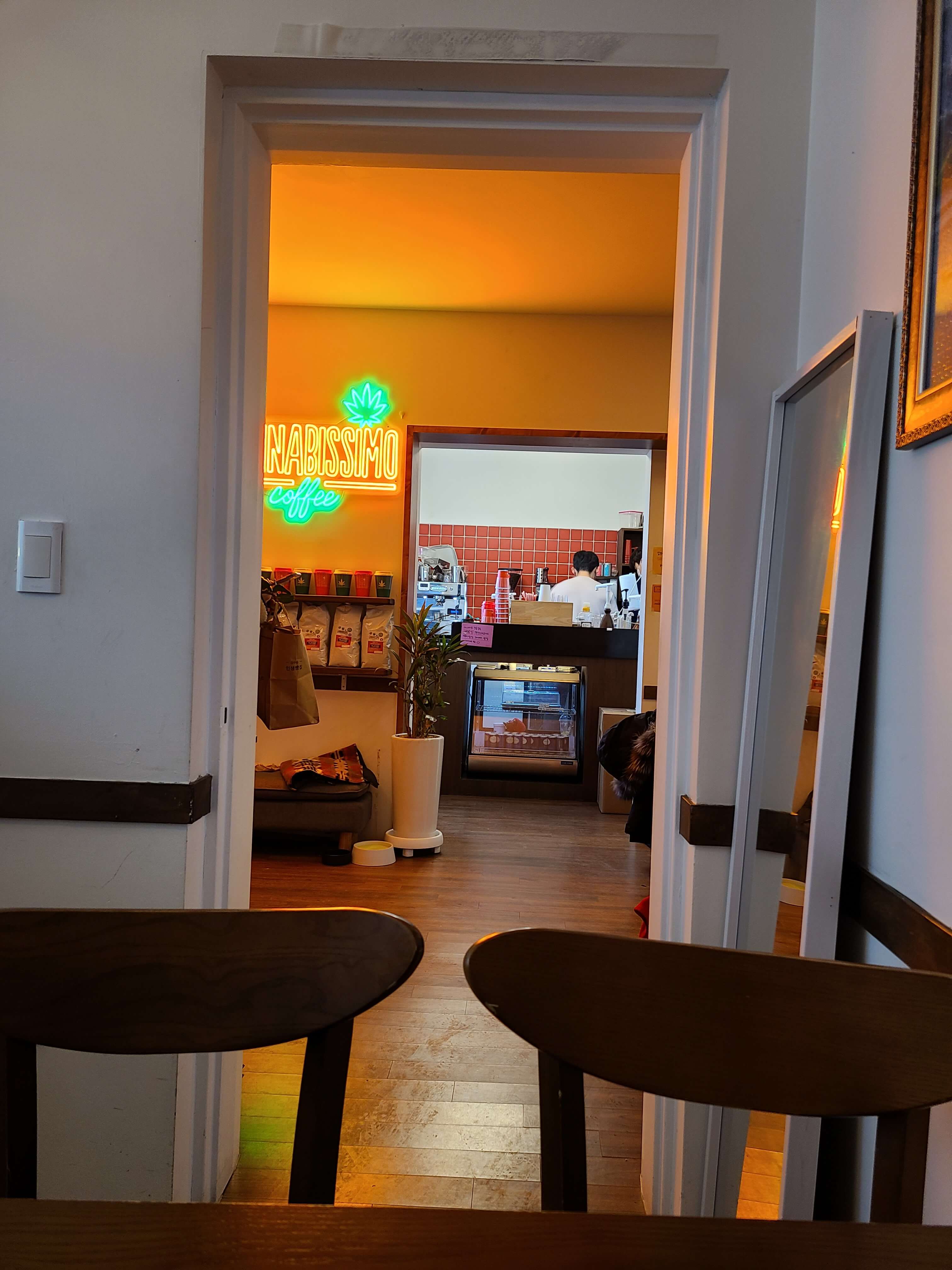 수원 애견동반카페