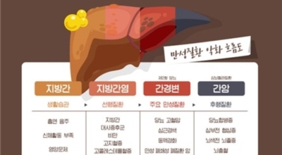 지방간이미지