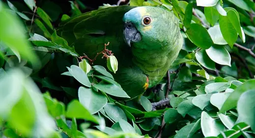 아빠 육아휴직 장려금 신청 방법