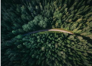 국립자연휴양림 예약통합시스템 국립자연휴양림 예약방법