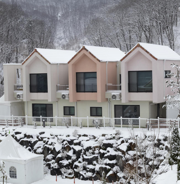 용인 자작나무숲 봄꽃 축제
