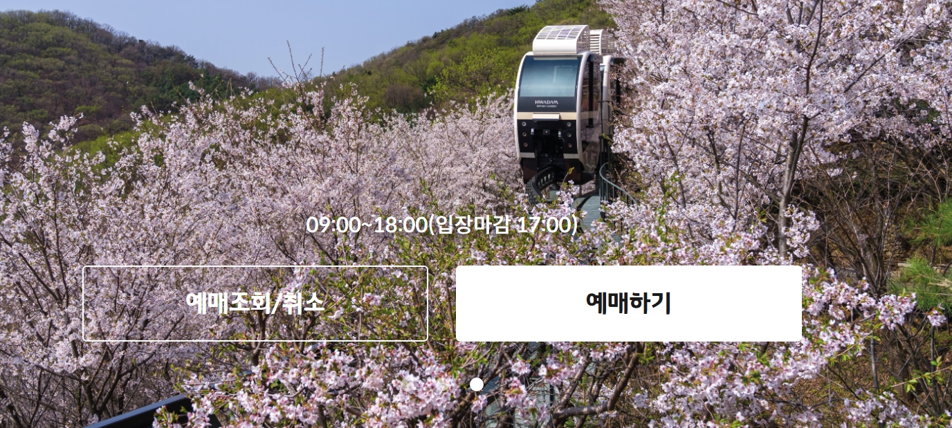 화담숲 모노레일 완벽 가이드! 예약부터 취소까지 한눈에