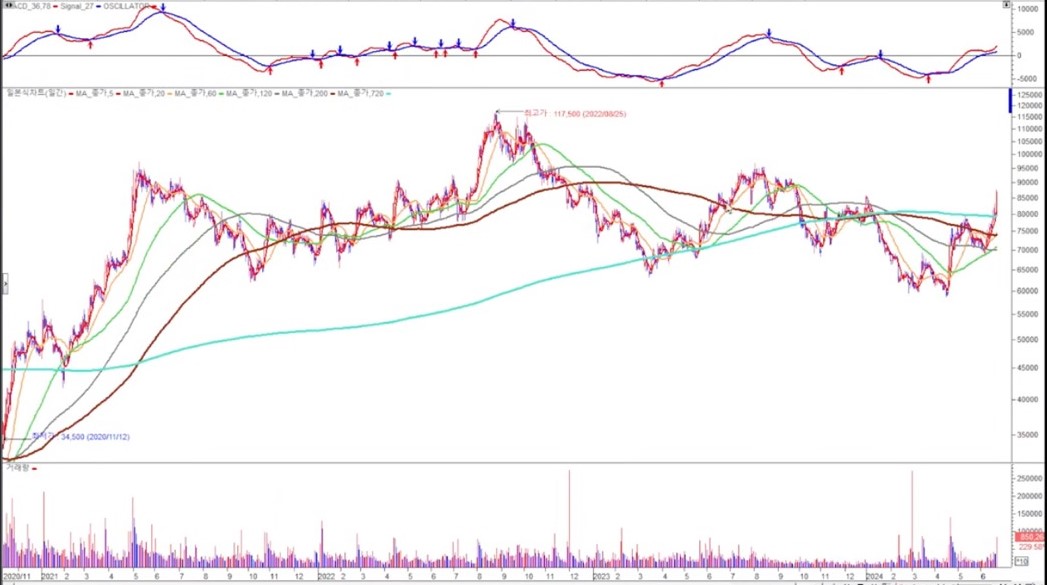 HD현대미포 급락후 급반등 2024