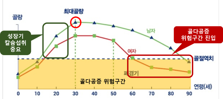 연령대별 최대 골밀도 그래프