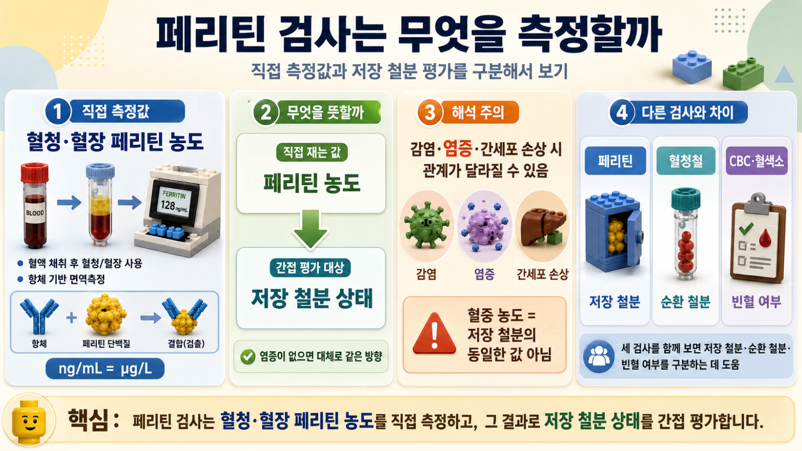 페리틴 검사가 직접 측정하는 혈청·혈장 페리틴 농도와 저장 철분을 간접 평가하는 원리를 설명한 레고 스타일 메디컬 인포그래픽