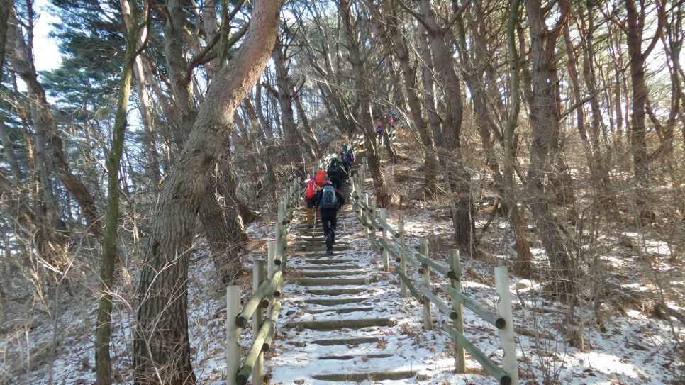 100대 명산 등산하기 열번째 지리산 바래봉(1,165m) 철쭉으로 전국적으로 유명하며, 지리산 북부 능선의 아름다움을 가장 가까이서 볼 수 있는 명소
