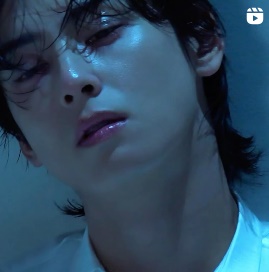 차은우