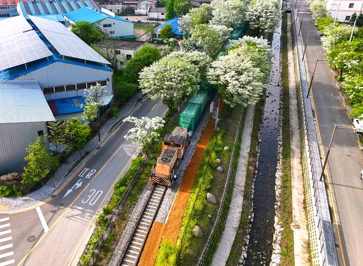 전주 팔복동 이팝나무 철길