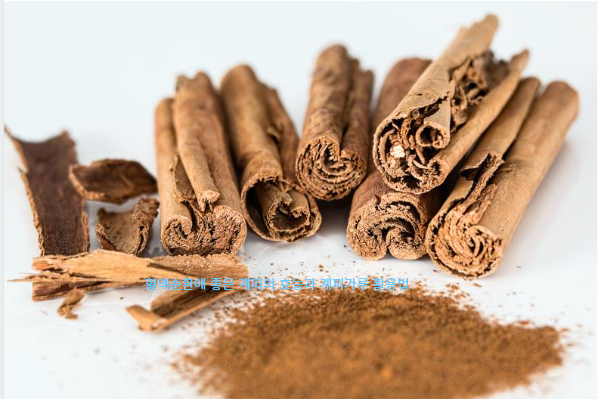 혈액순환에 좋은 계피의 효능과 계피가루 활용법