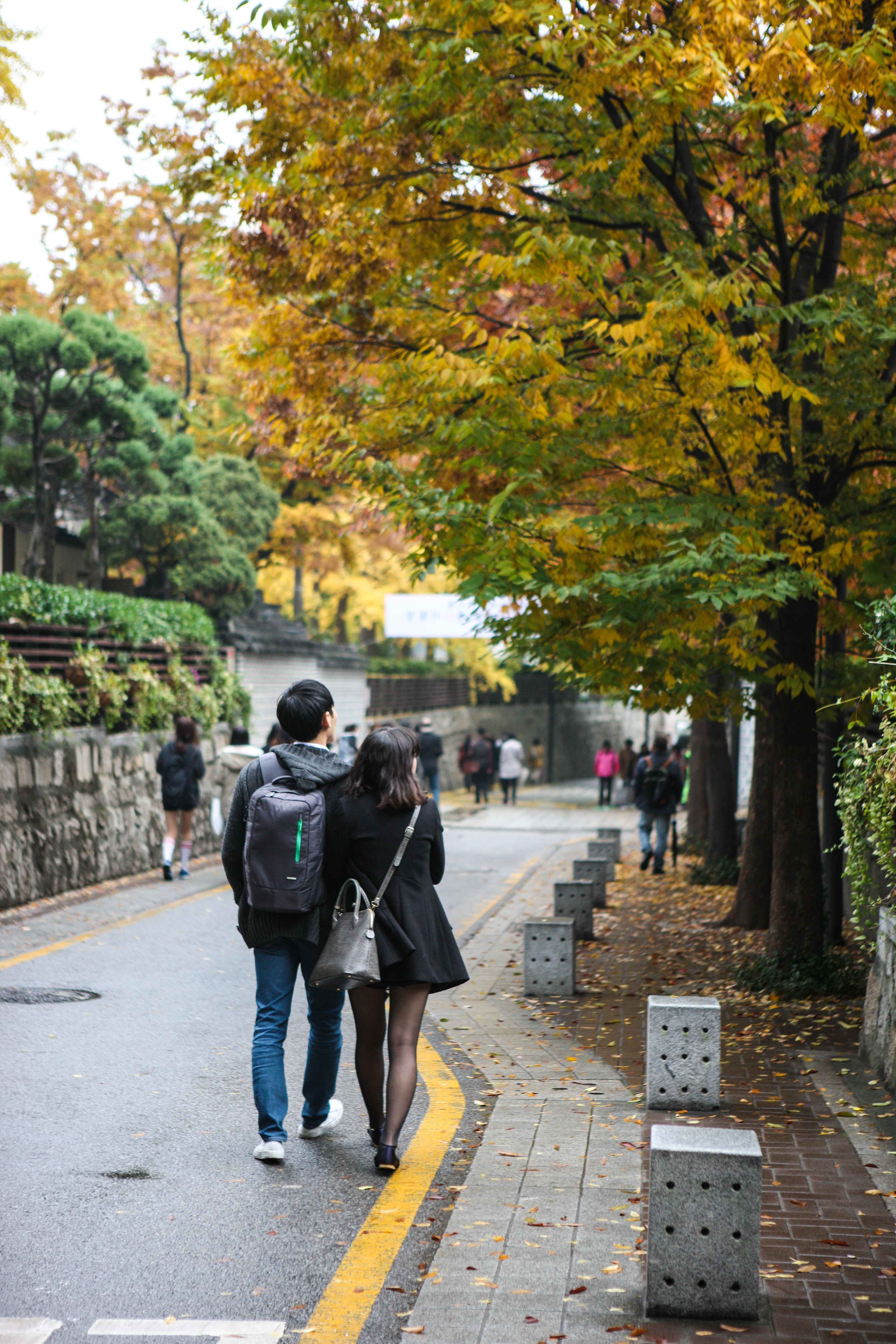 북촌 감고당길의 가을