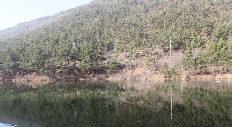 희리산 자연휴양림