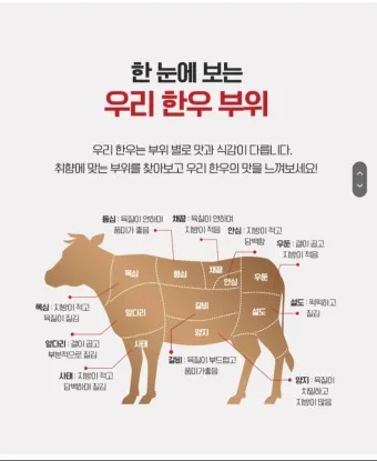 맛있는 국내산 소고기 부위 명칭 특징 조리방식_16