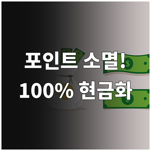 카드 포인트 소멸 예정액 확인 100..