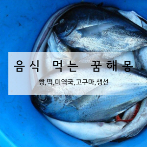 음식 먹는 꿈해몽