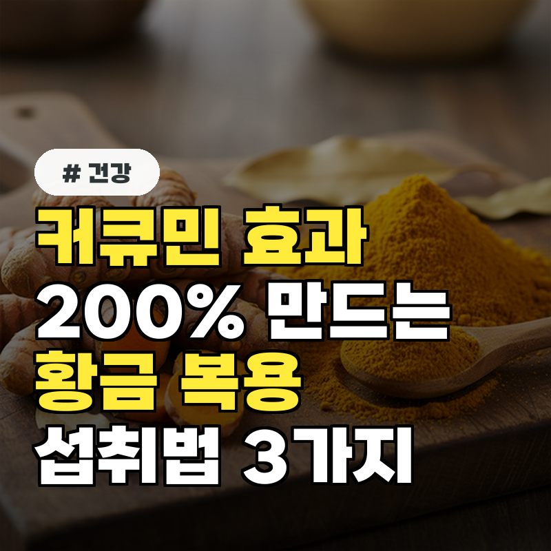 커큐민 효과 200% 만드는 황금 복용 시간과 섭취법 3가지