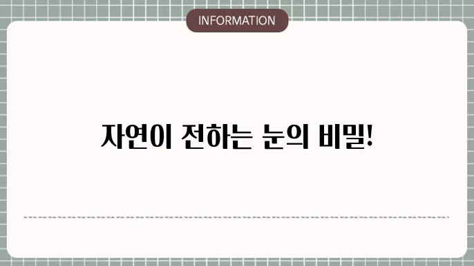 눈 건강 관리의 이미지