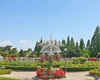 고양 꽃박람회_22