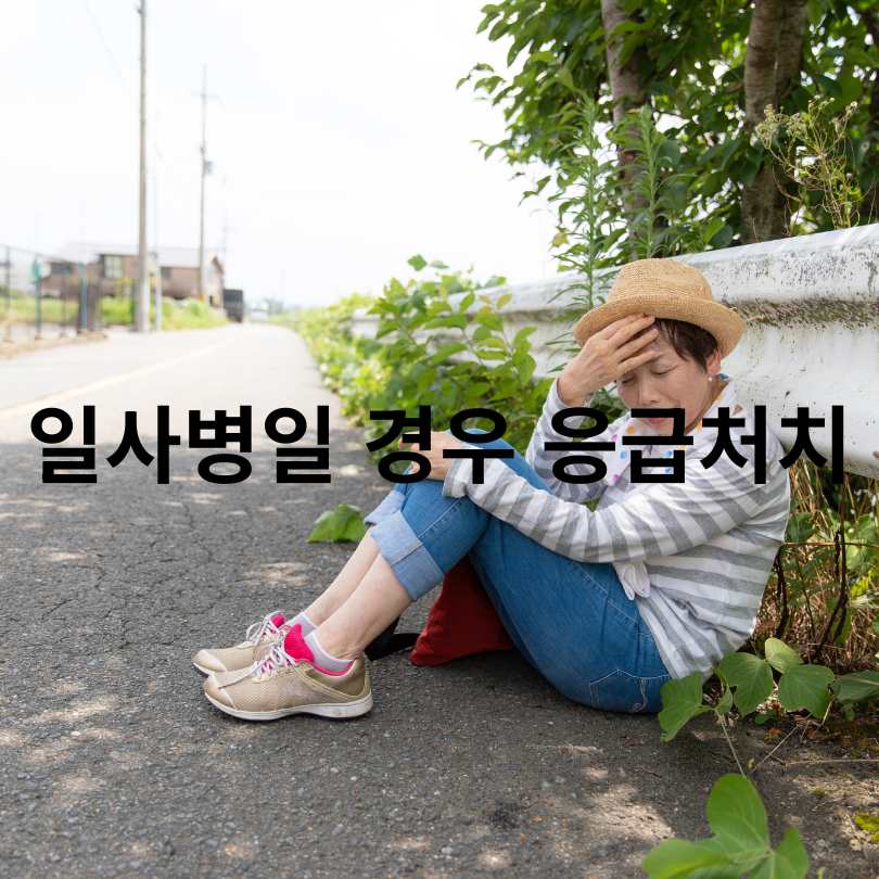일사병과 열사병 차이점 총정리