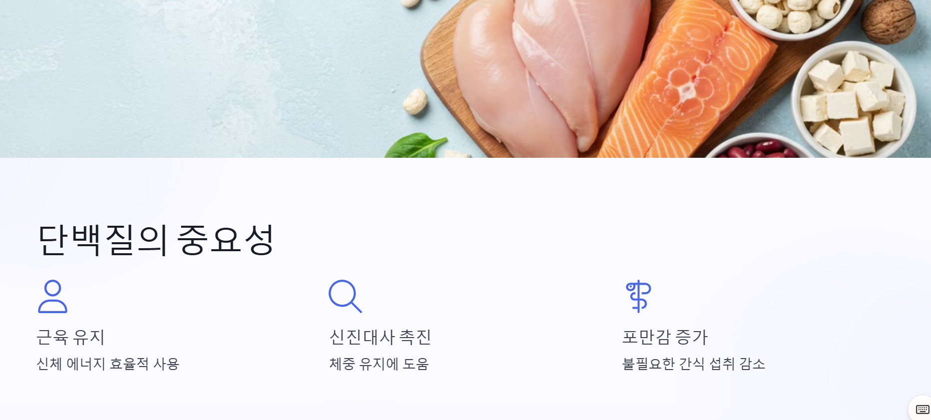 단백질의 중요성