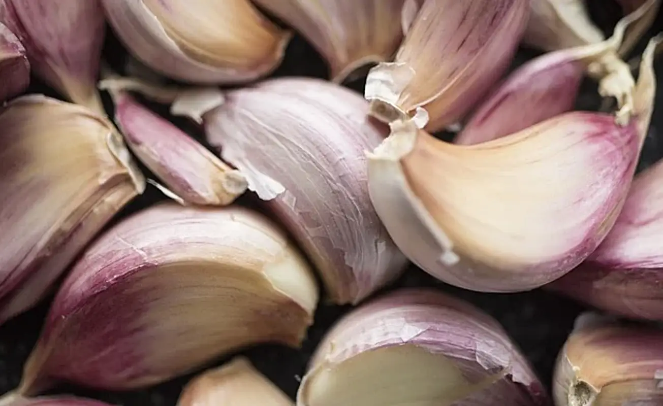 마늘장아찌 담그는법