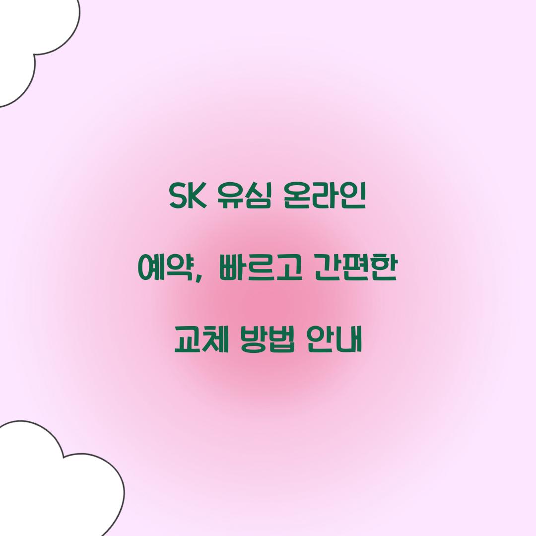 SK 유심 온라인 예약